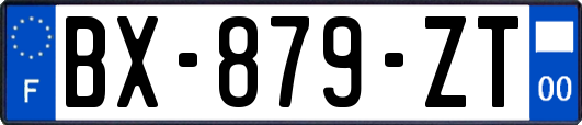 BX-879-ZT