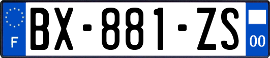 BX-881-ZS