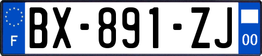 BX-891-ZJ