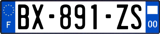BX-891-ZS