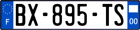 BX-895-TS