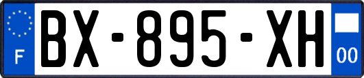 BX-895-XH