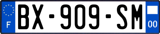 BX-909-SM