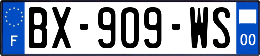 BX-909-WS