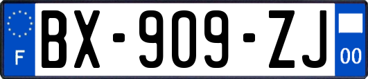 BX-909-ZJ