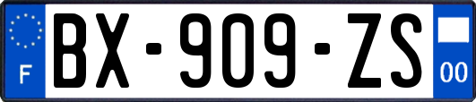 BX-909-ZS