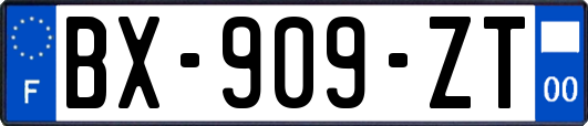 BX-909-ZT