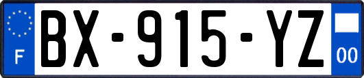 BX-915-YZ