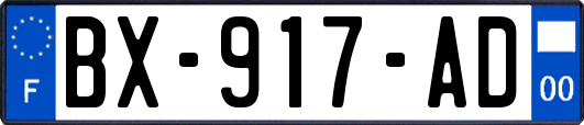 BX-917-AD