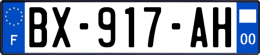 BX-917-AH