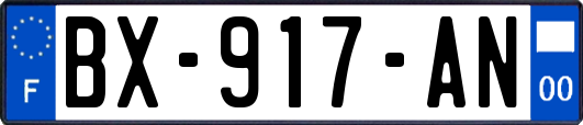 BX-917-AN