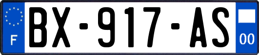 BX-917-AS