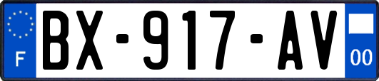 BX-917-AV