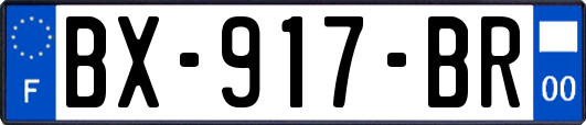 BX-917-BR