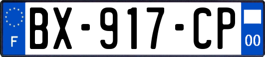 BX-917-CP