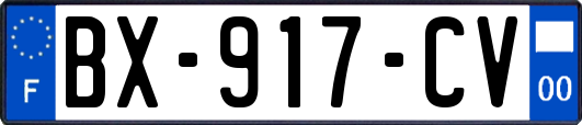 BX-917-CV