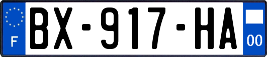 BX-917-HA