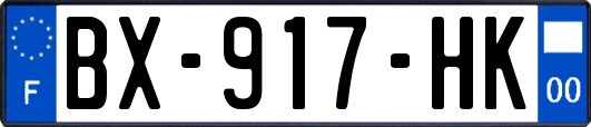 BX-917-HK