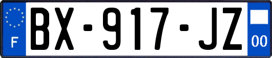 BX-917-JZ