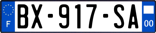 BX-917-SA