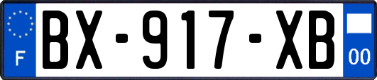 BX-917-XB