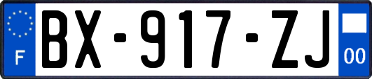 BX-917-ZJ