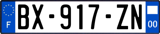 BX-917-ZN