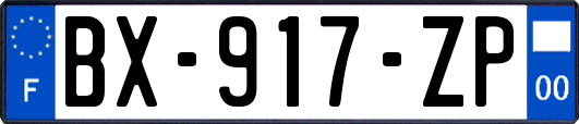 BX-917-ZP