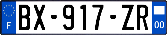 BX-917-ZR