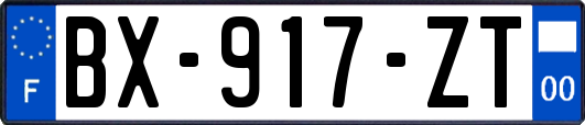 BX-917-ZT