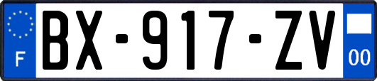 BX-917-ZV