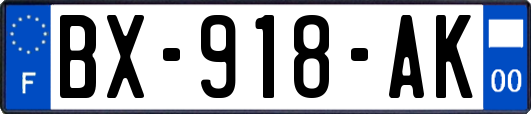 BX-918-AK