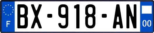 BX-918-AN