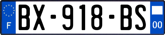 BX-918-BS