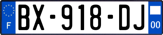 BX-918-DJ