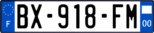 BX-918-FM