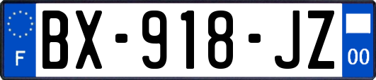 BX-918-JZ