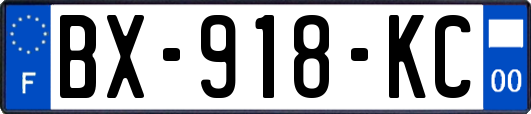 BX-918-KC