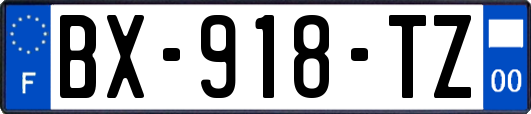 BX-918-TZ