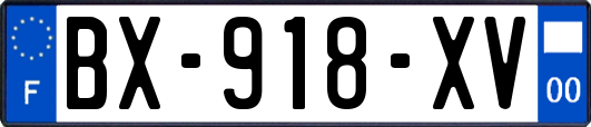 BX-918-XV