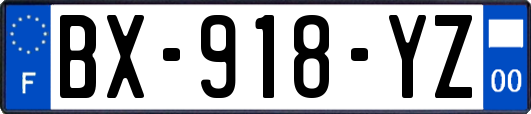 BX-918-YZ