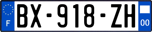 BX-918-ZH