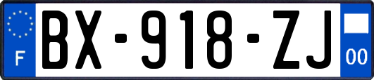 BX-918-ZJ