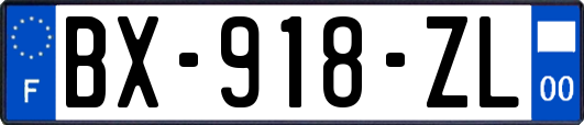 BX-918-ZL