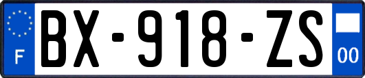 BX-918-ZS