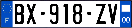 BX-918-ZV