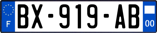 BX-919-AB