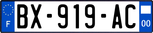 BX-919-AC