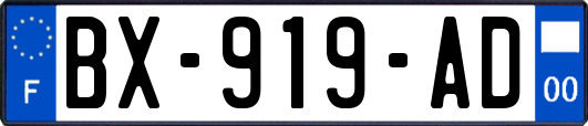 BX-919-AD