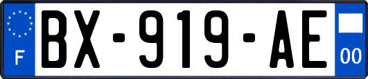 BX-919-AE